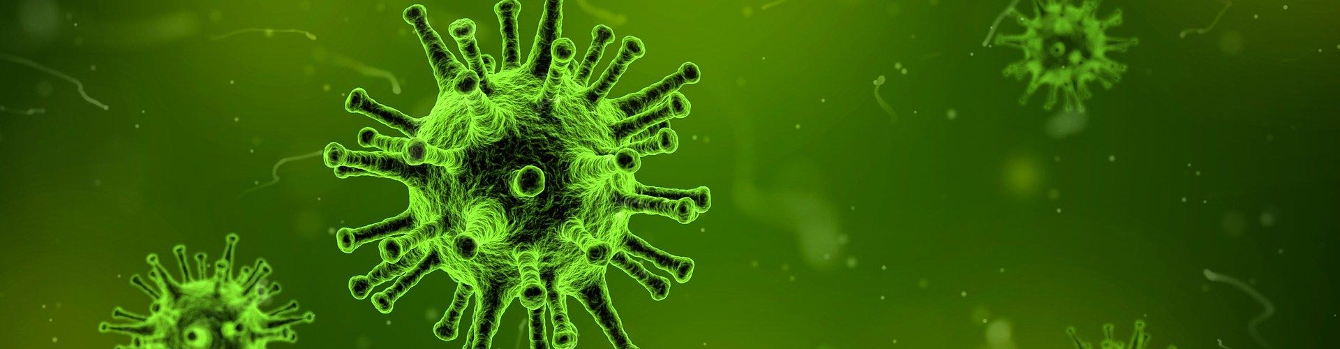 Coronavirus (Covid-19)